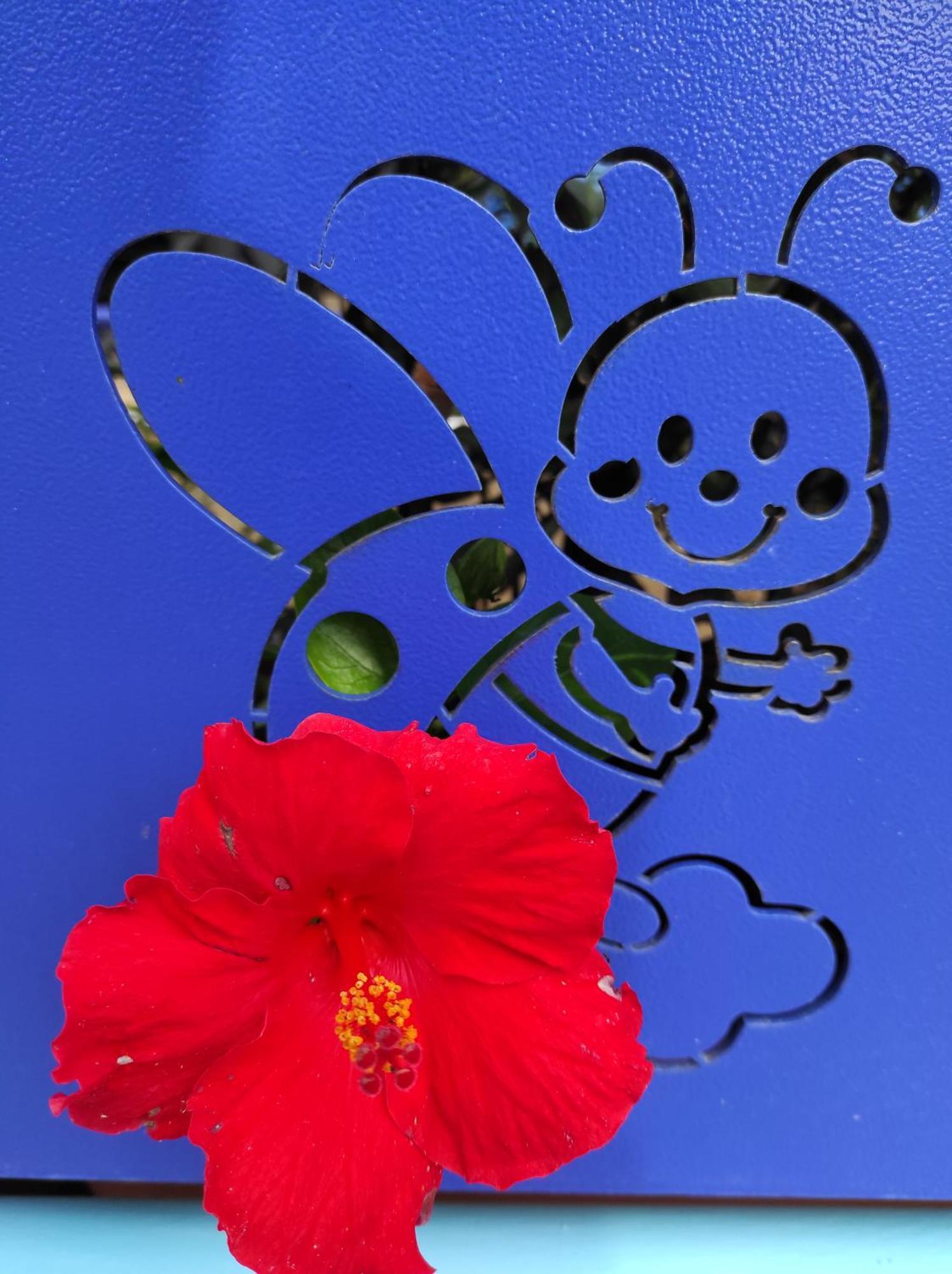 ホテル Coccinella サバウディア エクステリア 写真